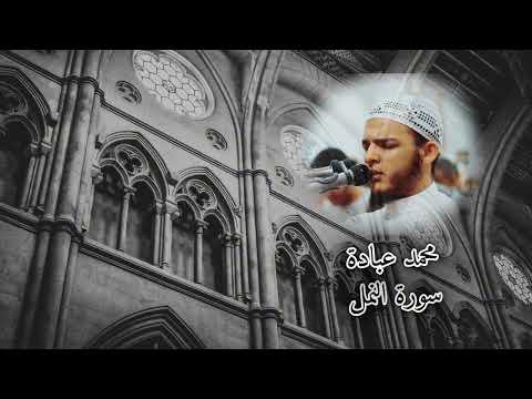 أمن يجيب المضطر إذا دعاه محمد عبادة سورة النمل