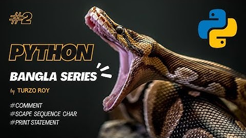 Python Bangla Tutorial – Comment, Escape Characters & Print Statement | Day 2 | Python Bangla Series