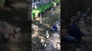 New Balance Kislovodsk Russia