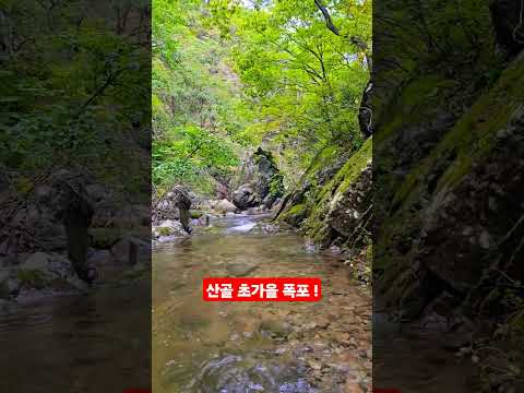 산골 초가을 폭포소리 <strong>ㆍ</strong>