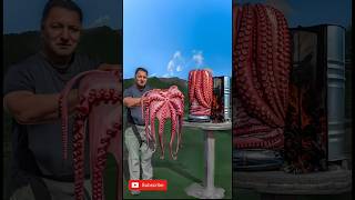 Grilled Octopus Doner Kebab – Spit-Roasted_ Charcoal Finish