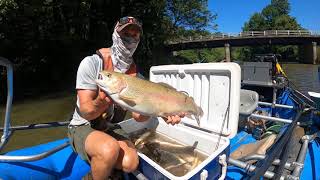 Smith River Trout Sampling