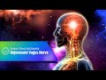 Rejuvenate Your Vagus Nerve | Reduce Stress And Anxiety, Improved Digestion &amp; Enhanced Heart Health