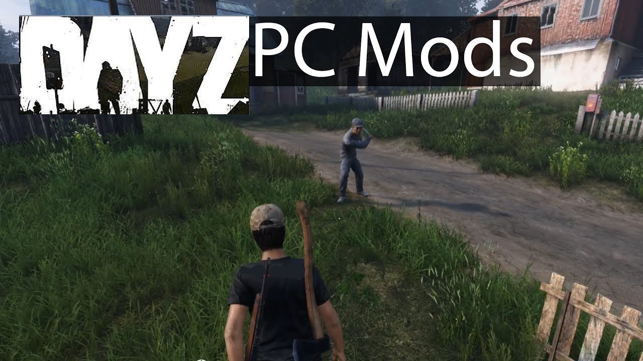 dayz pc game