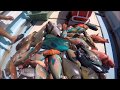 魚突き、アカジン、クレーミーバイ、イラブチャー、伊勢海老、セミエビ、チヌマン、等々