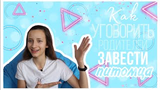 КАК УГОВОРИТЬ РОДИТЕЛЕЙ КУПИТЬ ПИТОМЦА? / котёнок,черепашка,морская свинка,собака,попугай...🐶🐱🐹🐢