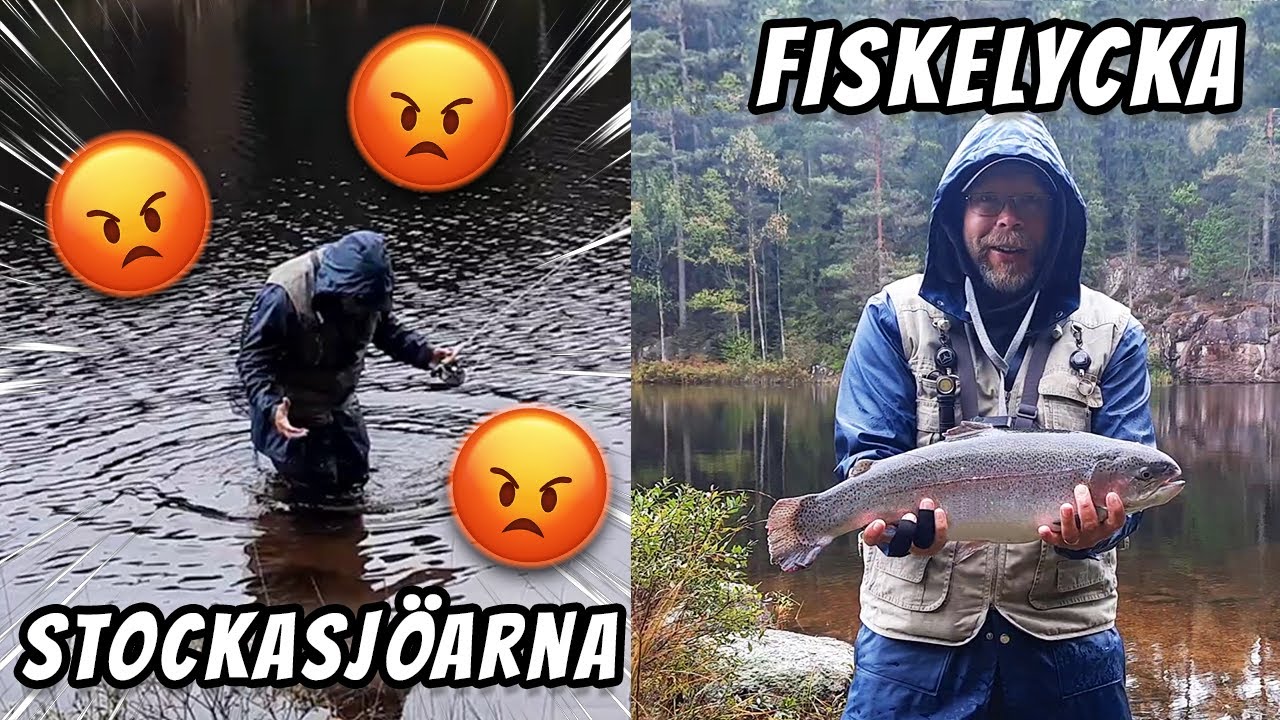 Jag Har ALDRIG Tappat Så Mycket Fisk! | Fiskelycka