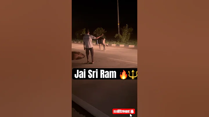Jai Sri Ram = Jai Gau Mata 🔱🔥 #gaumata #animals #explore #humanity #shorts