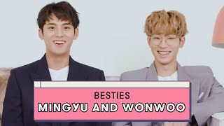 Seventeen's Mingyu And Wonwoo Reveal Details On Their Friendship | Besties On Besties | Seventeen