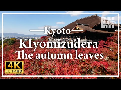 The sight of the “Kiyomizu Stage” looks as if floating in the autumn leaves. Truly a superb view.