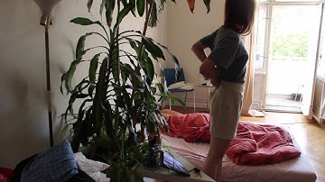Carla dal Forno - You Know What It