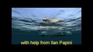 Update Project Koegelwieck Rederij Doeksentiv