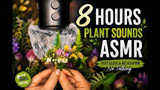 Hours Nature ASMR 🌿 Gentle Plant Sounds for Deep Sleep & Relaxation (No Talking)