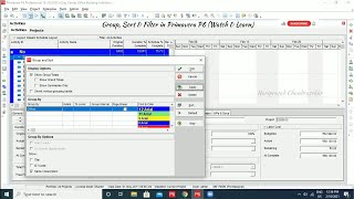 Group, Sort & Filter in Primavera P6 (Watch & Learn)
