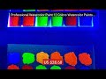 Professional Watercolor Paint 12 Colors Watercolor Paints Solid Wat... — Top Rated 2026 | Buy Now!