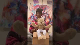 Meddy Teddy has arrived!