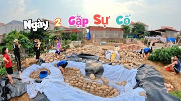 Ngày Thứ 2 Làm Bể Cá Koi Vẫn Chưa Xong Vì Gặp Sự Cố / Quế Nghịch