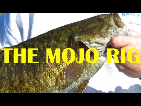 How To Fish Texas Rigged Senkos