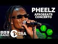 Pheelz  finesse  1xtras afrobeat concerto