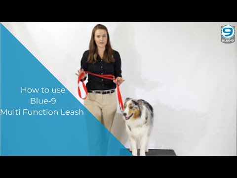 how-to-use-the-multi-function-training-leash-by-blue-9