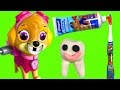 Paw Patrol Skye Loses a Tooth! Dentist Toys -