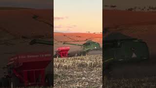 John Deere 9670 na colheita do milho safrinha!