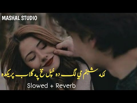 Laka Shabnam Mi Da Khpal Makh Pa Gulab Preda  SlowedReverb  Pashto New Song