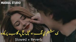 Laka Shabnam Mi Da Khpal Makh Pa Gulab Preda [ Slowed+Reverb ] Pashto New Song screenshot 4