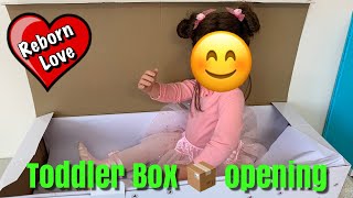 Box Opening of Masterpiece Toddler Doll Lara by Ashton Drake