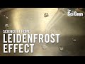 Understanding the Leidenfrost Effect