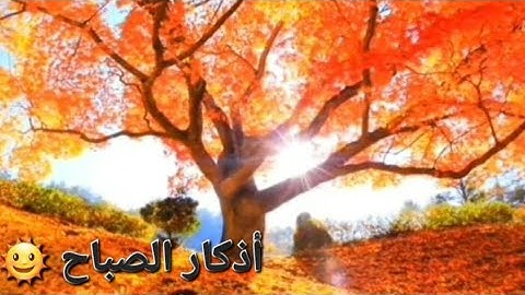 أذكار الصباح -إبدأ يومك بذكر الله لتحصن نفسك- 🌞 #اذكار_الصباح #morning
