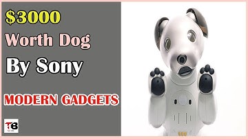 The $3000 Sony AIBO : The Robot Dog | Modern Gadgets