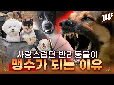 "진짜 안 물어요?" 반려동물을 향한 두 가지 시선 / 14F