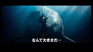 映画『MEG ザ・モンスターズ2』日本版予告編