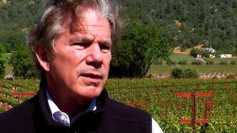 JAMESSUCKLING.COM - Araujo: 2008 Cabernet