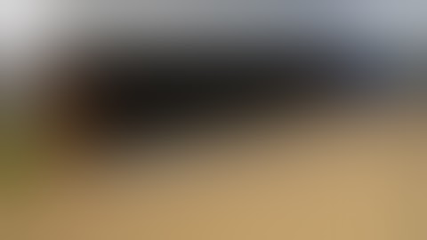 Контейнерная площадка для мусора