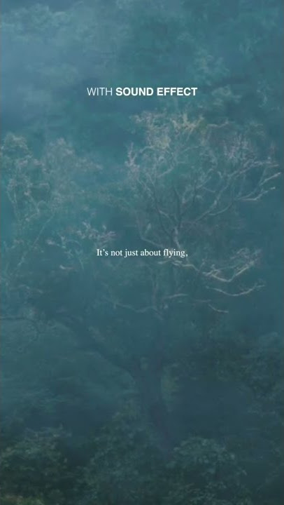 Without vs with sound effect #sfx #beforeandafter