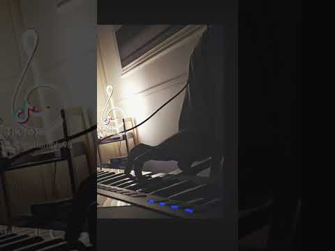 صولو اغنية أنغام ياريتك فاهمني بتوزيعي
