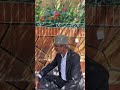 مهین تاج زارعی