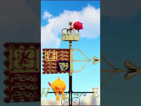 Be careful, it can turn quickly #chicky | Chicky Cartoon in English for kids