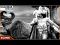 Ummadi Kutumbam Movie || N.T.R Best Dialogues Scene || NTR, Savitri || Shalimarcinema