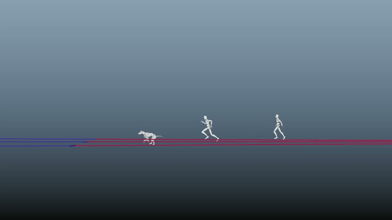 MotionMaker Sprint comparison