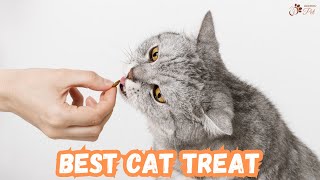 How to Choose the Right Cat Treats by Keeping Pet 63 views 10 months ago 4 minutes, 28 seconds