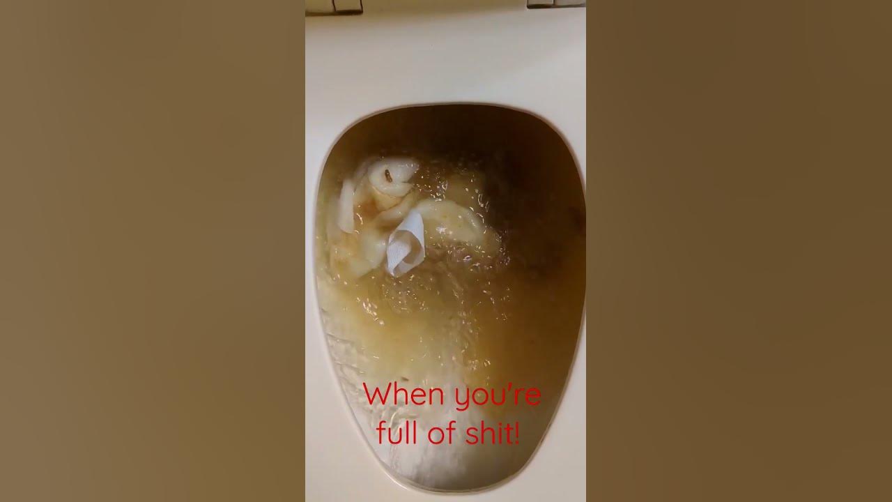 late night bowel movement YouTube