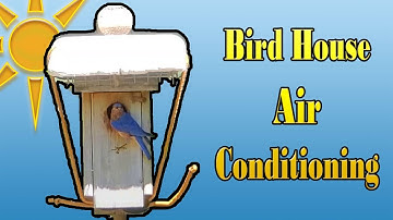Cooling Idea for Your Bluebird Box, reduce the HEAT 🐣