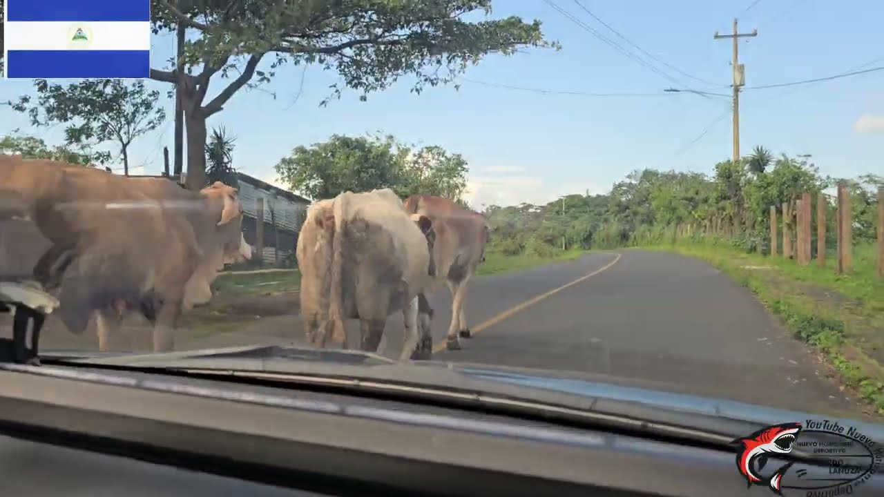 LAS NUBES UN LUGAR DE CLIMA DE 24 GRADOS 
