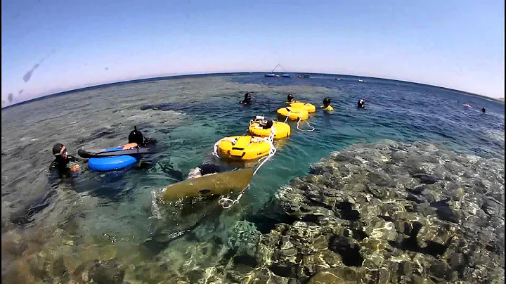 Miguel Lozano 100m CWT Record - Dahab, Egypt - Jun...