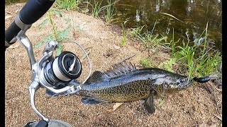 Murray Cod Fishing New England NSW by bashir k 783 views 4 months ago 8 minutes, 46 seconds