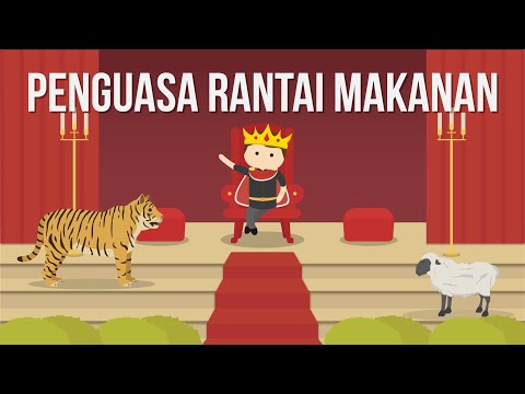 Kenapa Manusia Bisa Ada di Puncak Rantai Makanan?