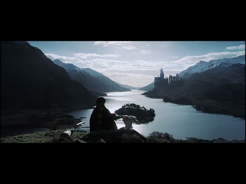 Hallittu pahuus: Harry Potterin retrospektiivi